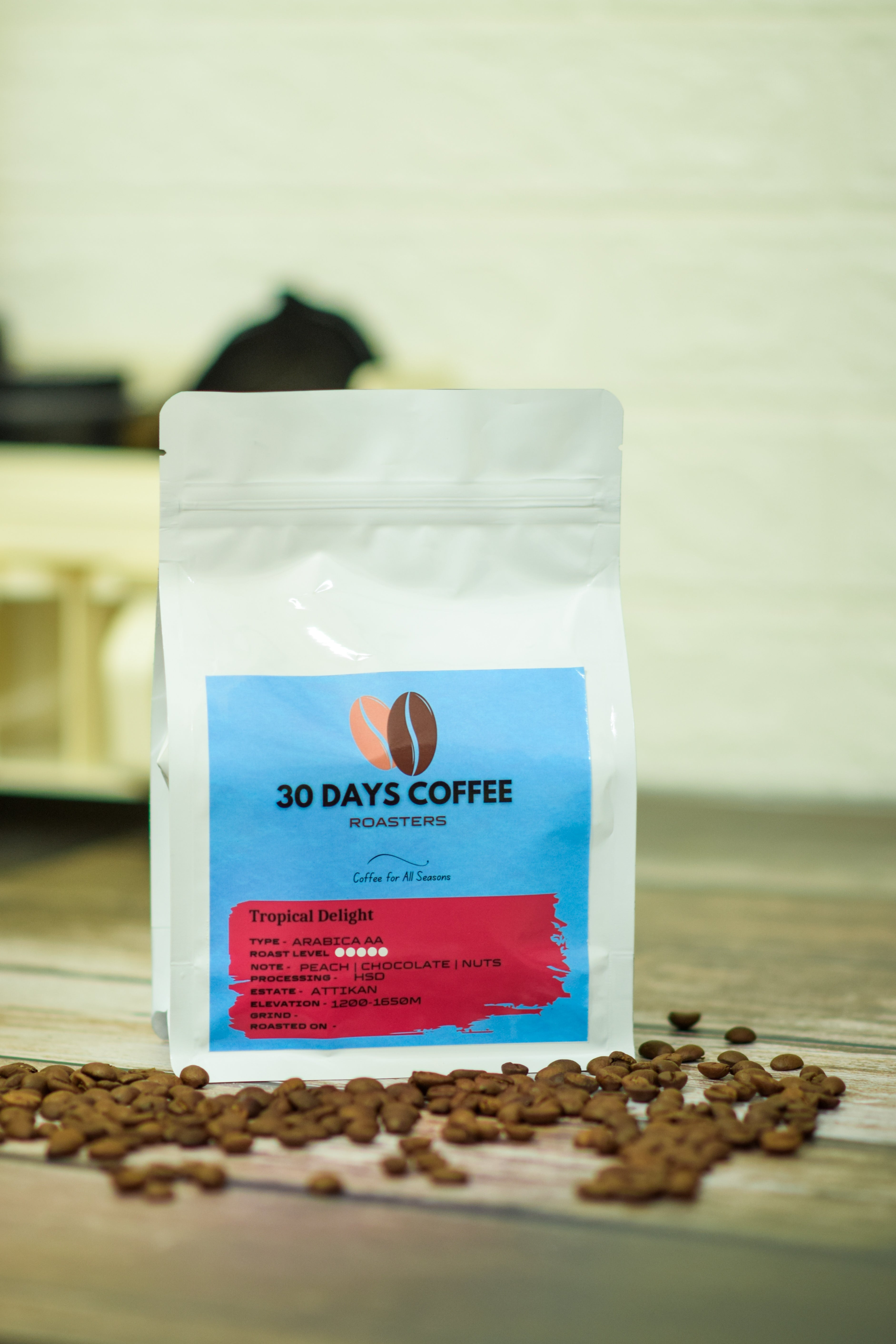 Tropical Delight fruity light roast coffee beans close up — 30 Days Coffee Roasters
